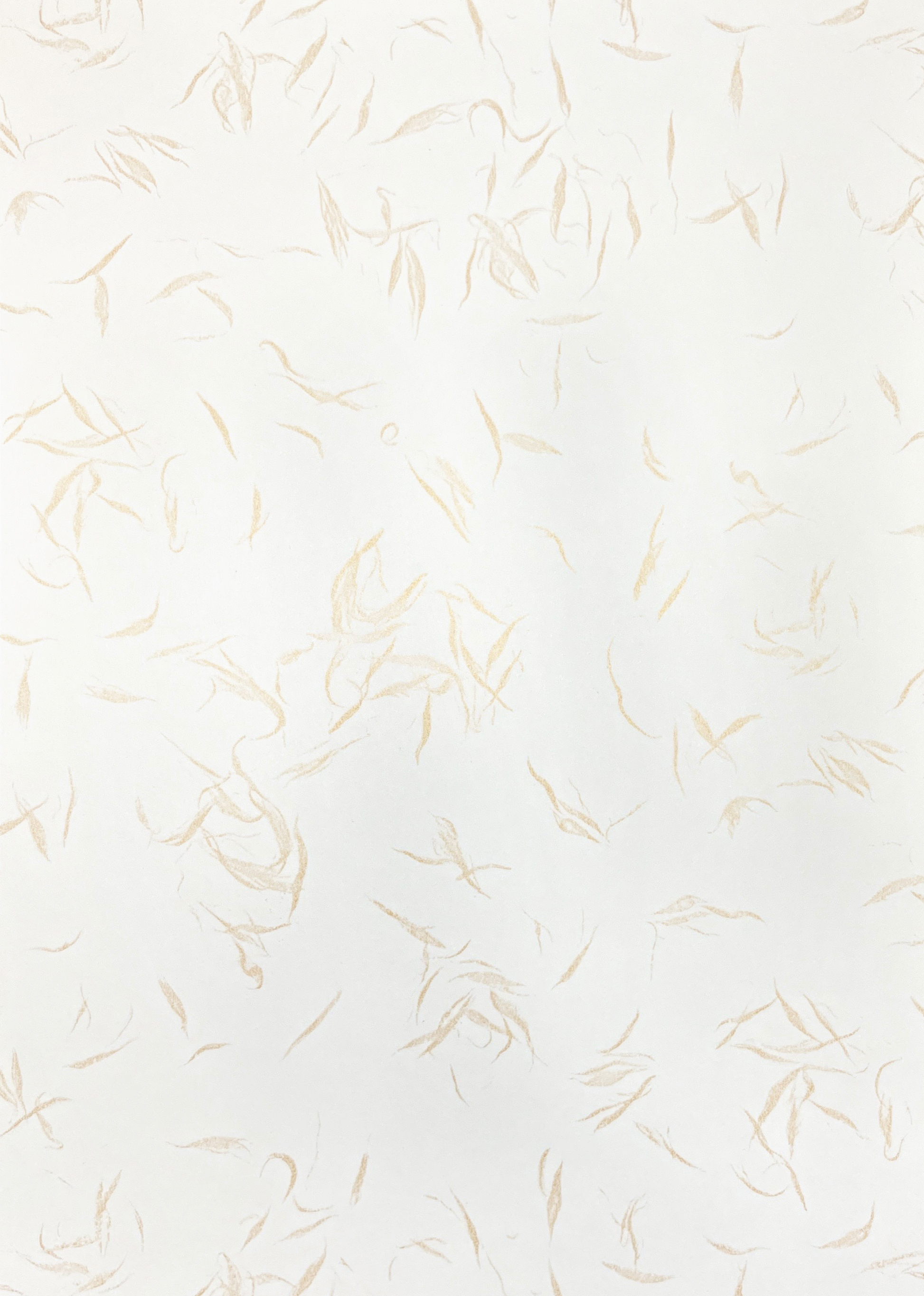 艾力獨家 - 花露露紙220磅（規格 : A4 | 金銀各2張） #T9002