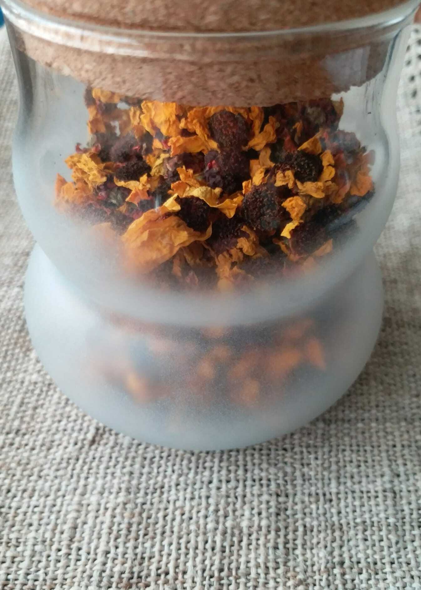 新疆崑崙山 雪菊