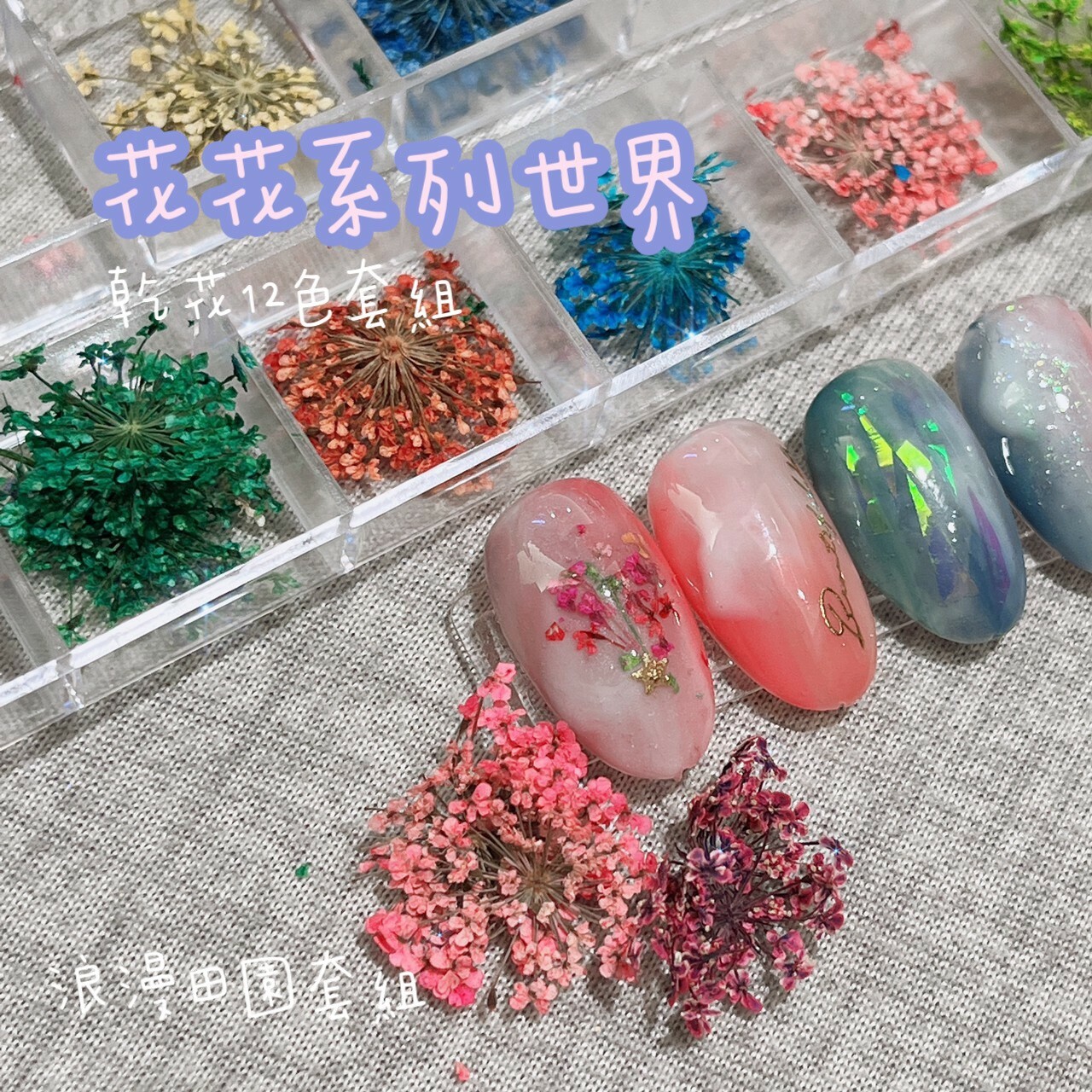 滿天星乾燥花