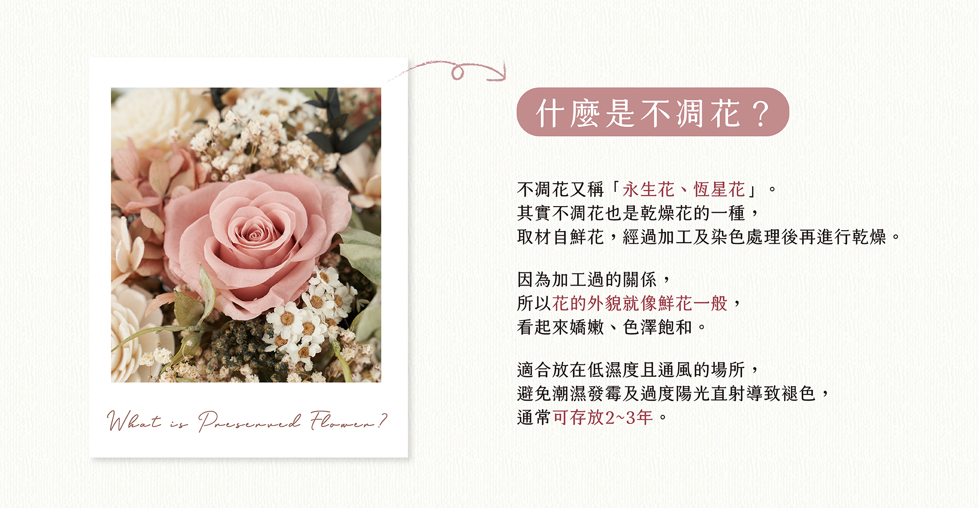 新竹乾燥花店小薇花藝向你介紹什麼是不凋花(永生花)？不凋花如何保存？為什麼不凋花看起來那麼像鮮花呢？