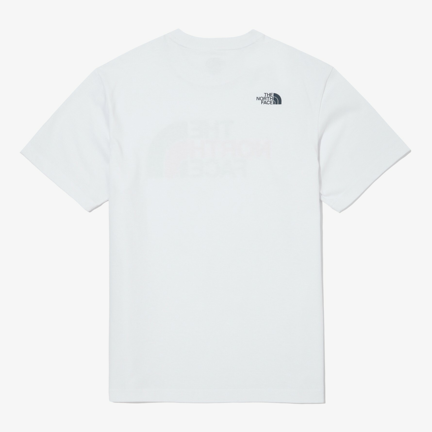 THE NORTH FACE RETRO LOGO EX 白 拚色LOGO 短袖 短T NT7UN17K