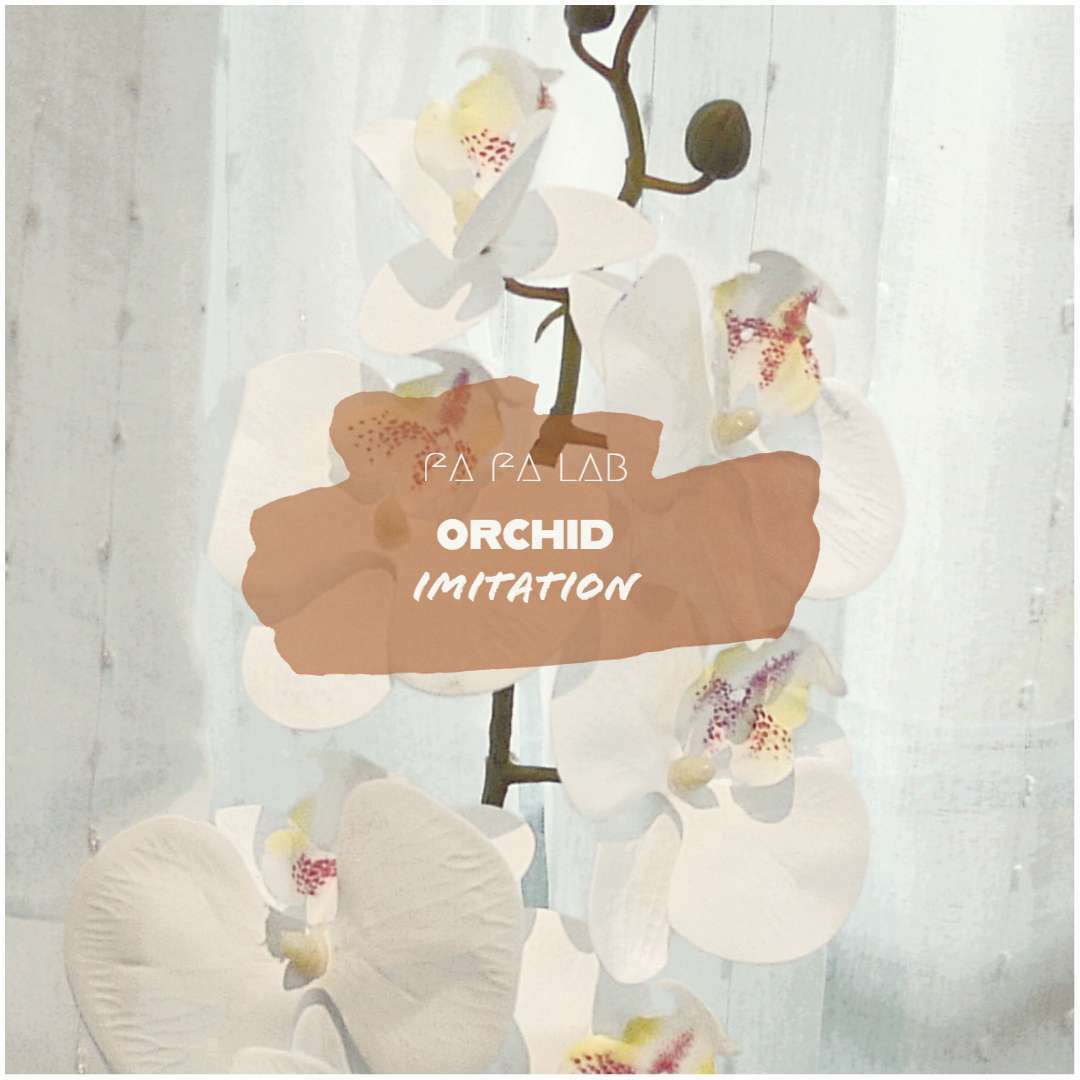 orchid