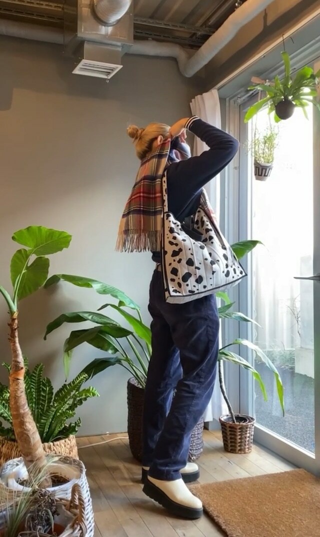 KNT365 Mam / Dalmatian / Lt.gray