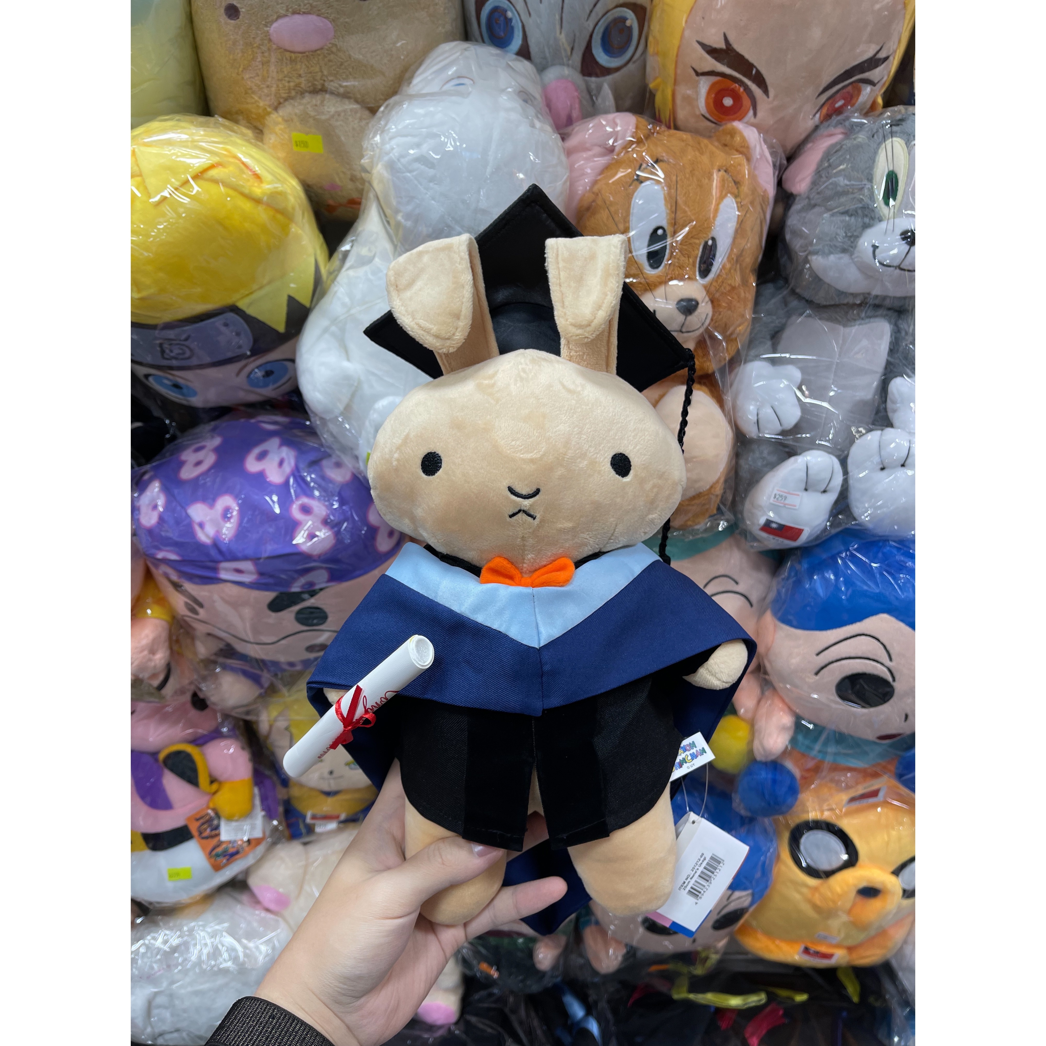 妮妮兔 畢業公仔