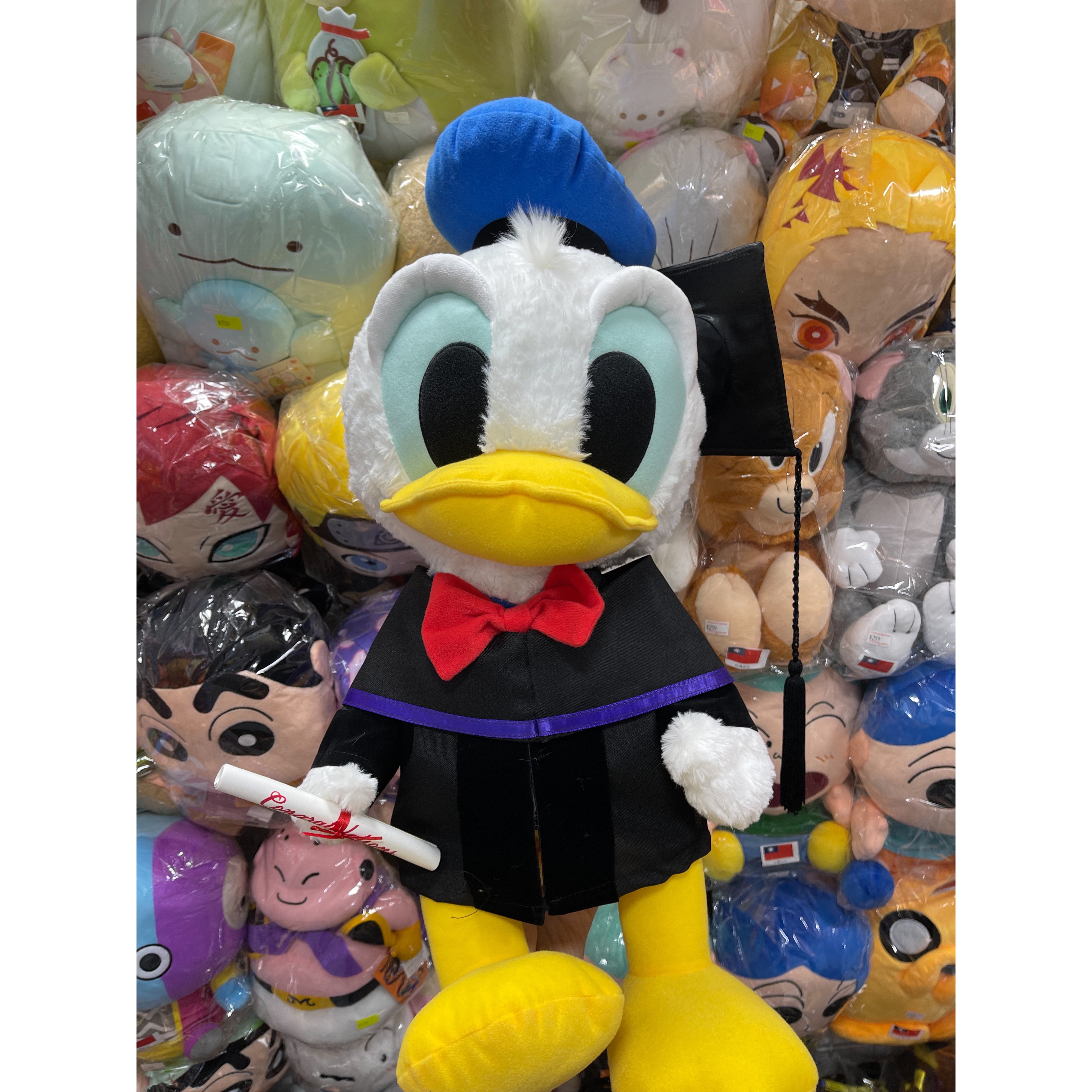 Donald Duck 唐老鴨 畢業公仔
