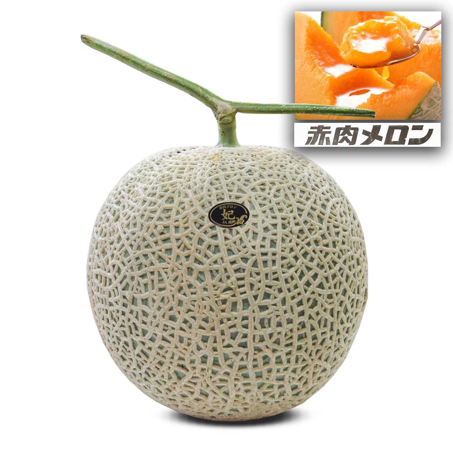 宮崎 妃の赤肉蜜瓜 [1個|大裝]