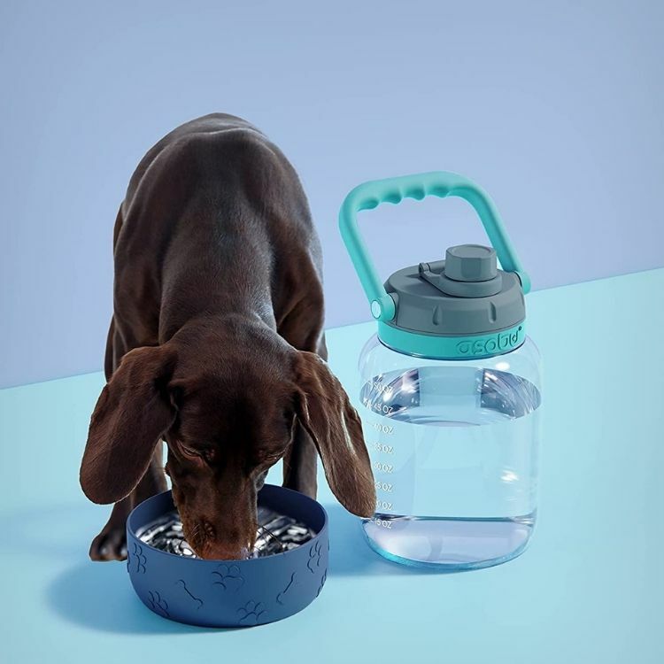 加拿大Asobu-Barkley Tritan 多功能大水壺