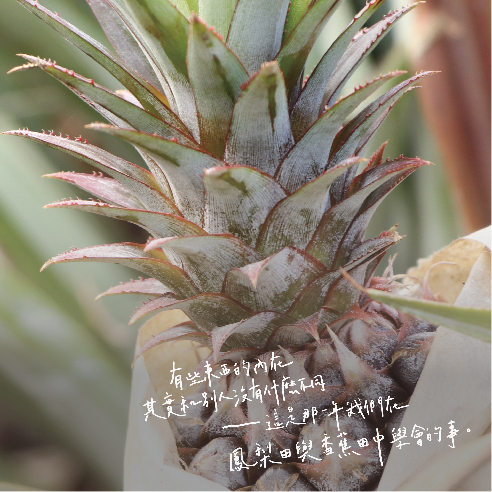 我們除自身品牌經營外，也與不同領域的夥伴合作，包括生吐司店、飯店業、連鎖手搖飲店、咖啡店、餐飲業、零售業、精品業、飯店業、美妝業...等，皆有果嶼的參與，賦予每一顆水果有重新進入市場的機會。