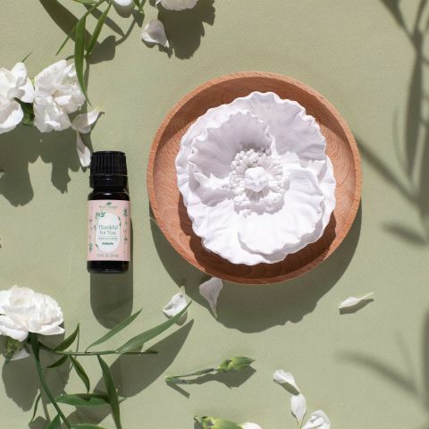 康乃馨擴香石+精油套裝 | PLANT THERAPY