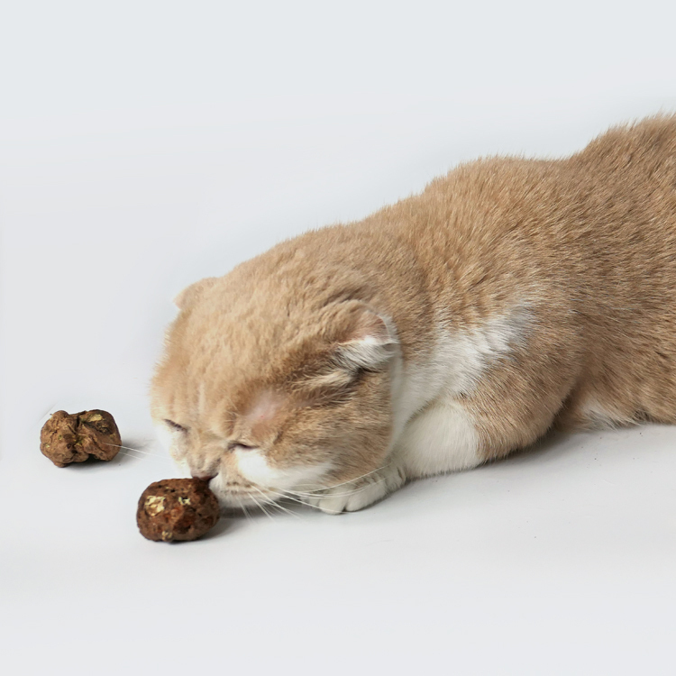 蟲癭果凍乾(30g/50g)