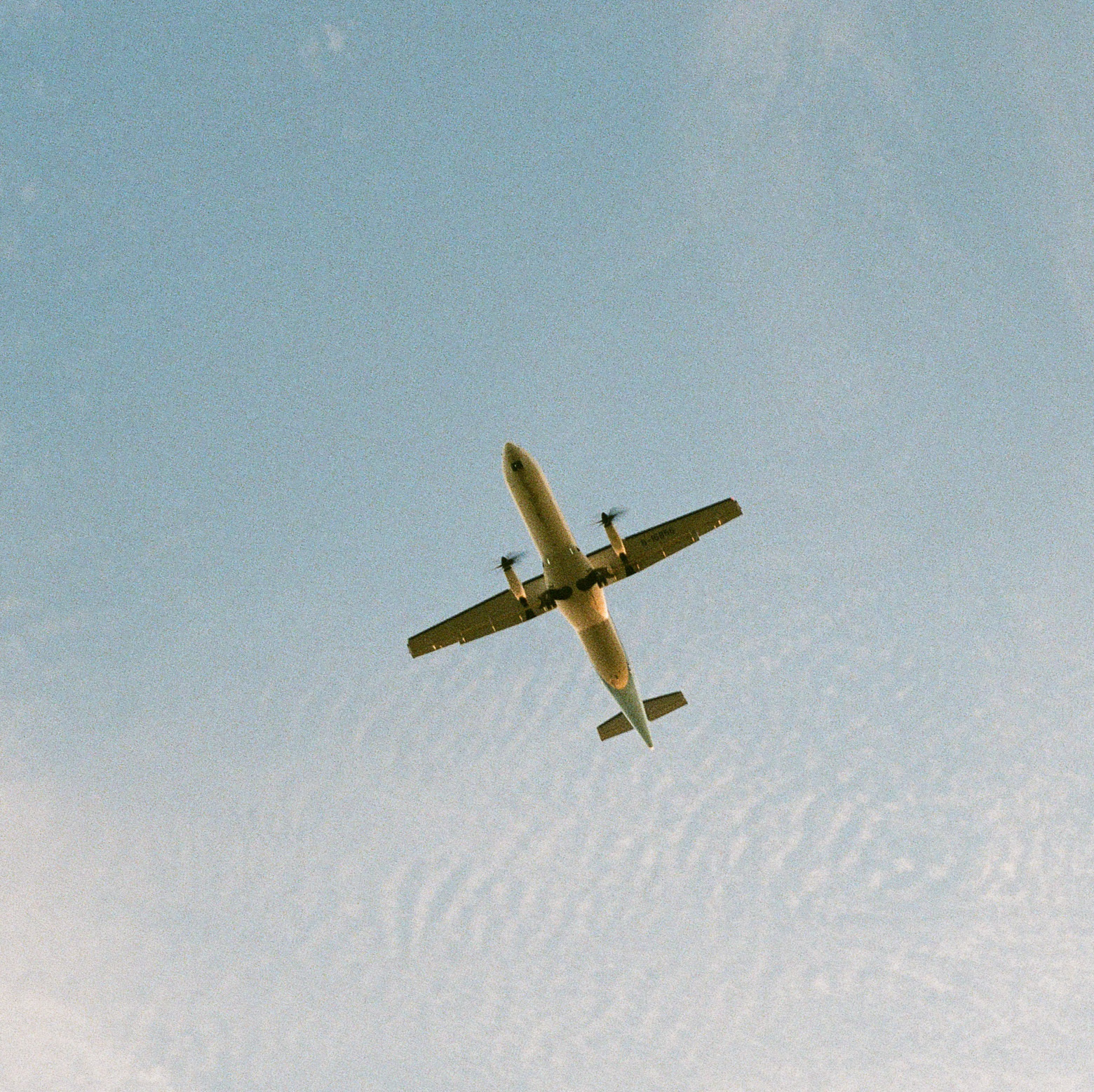 金門返鄉，候鳥，飛機，鄉愁