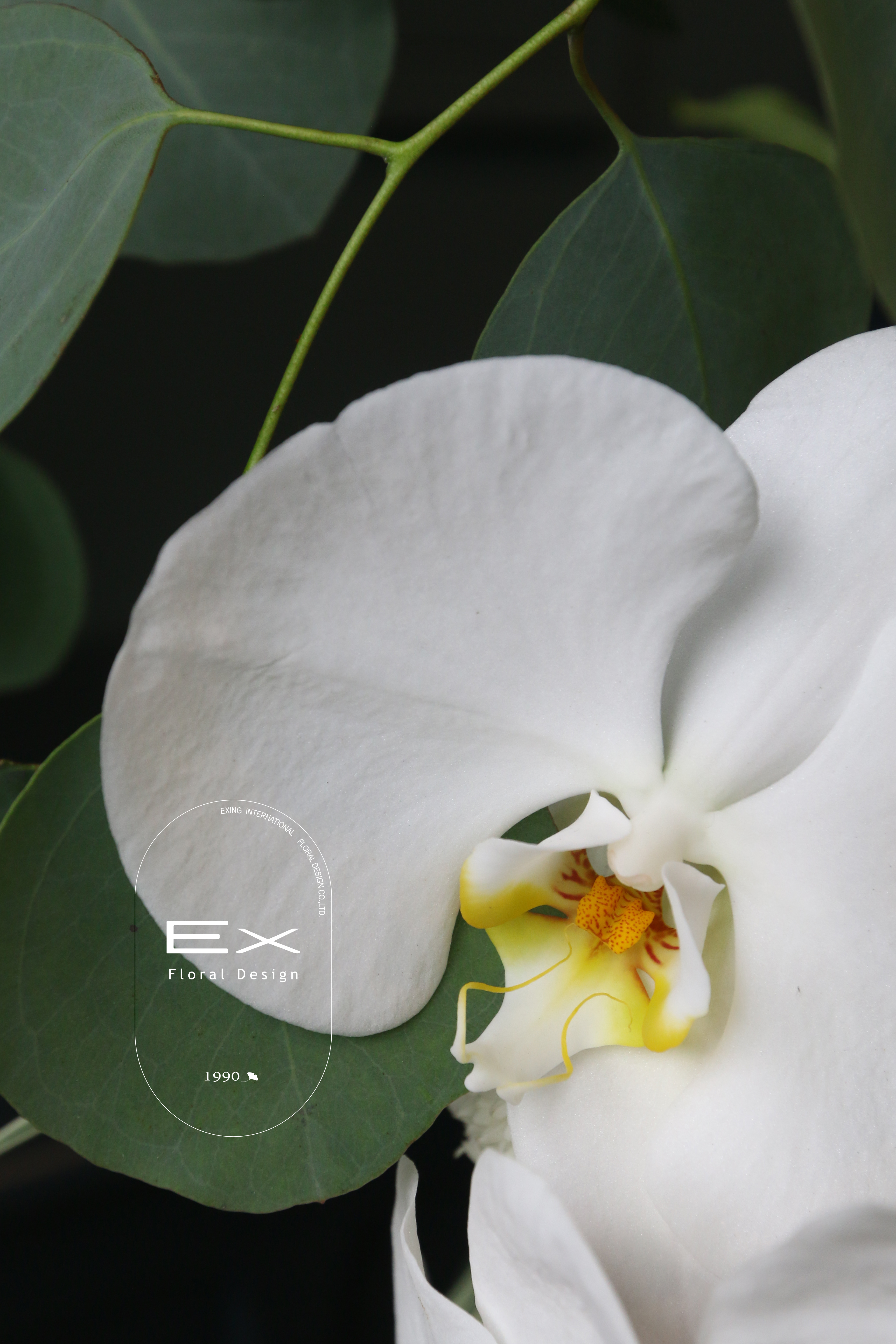 栗萊白麗｜藝術花柱