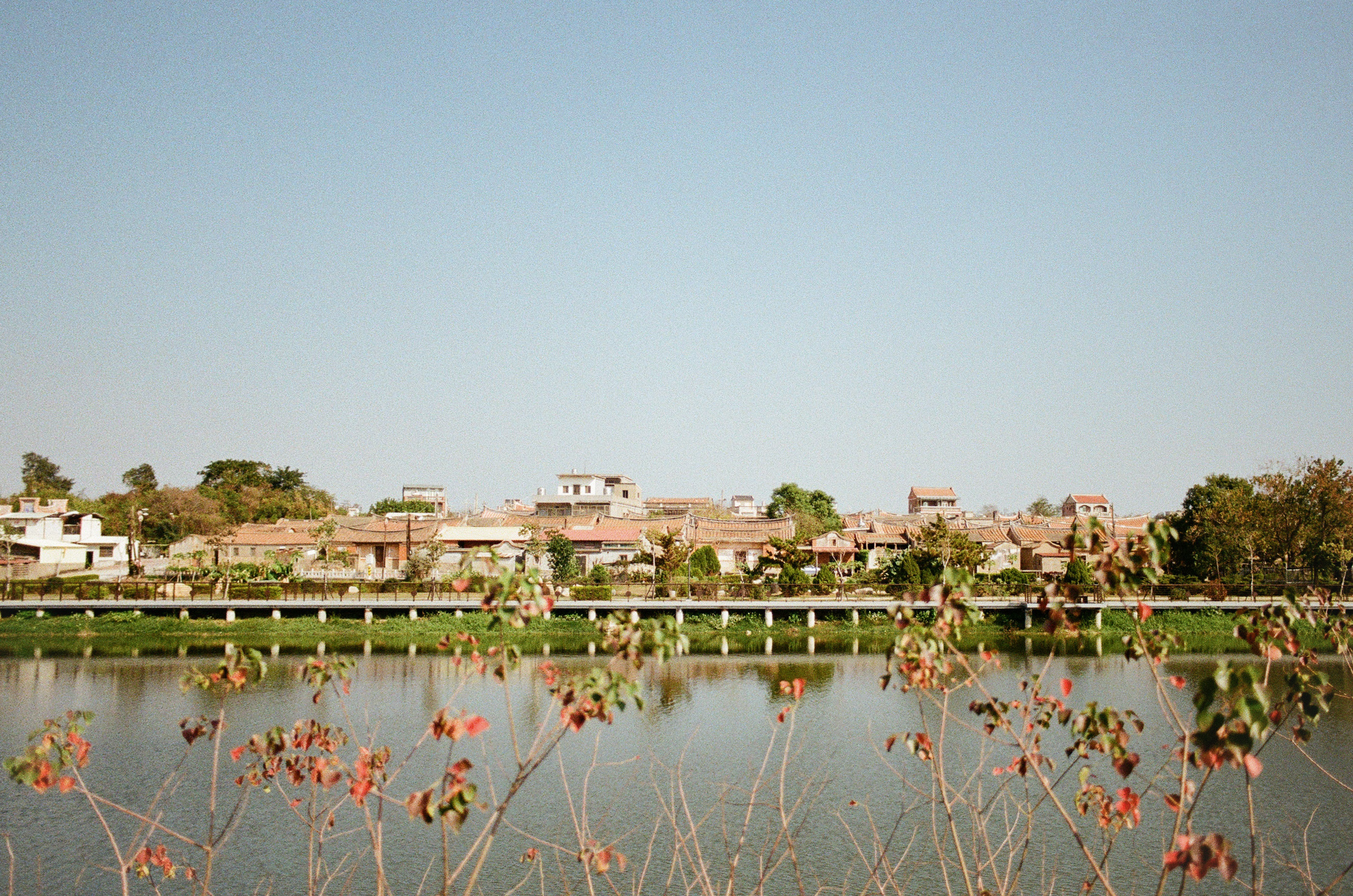 金門,風景,池塘,美景