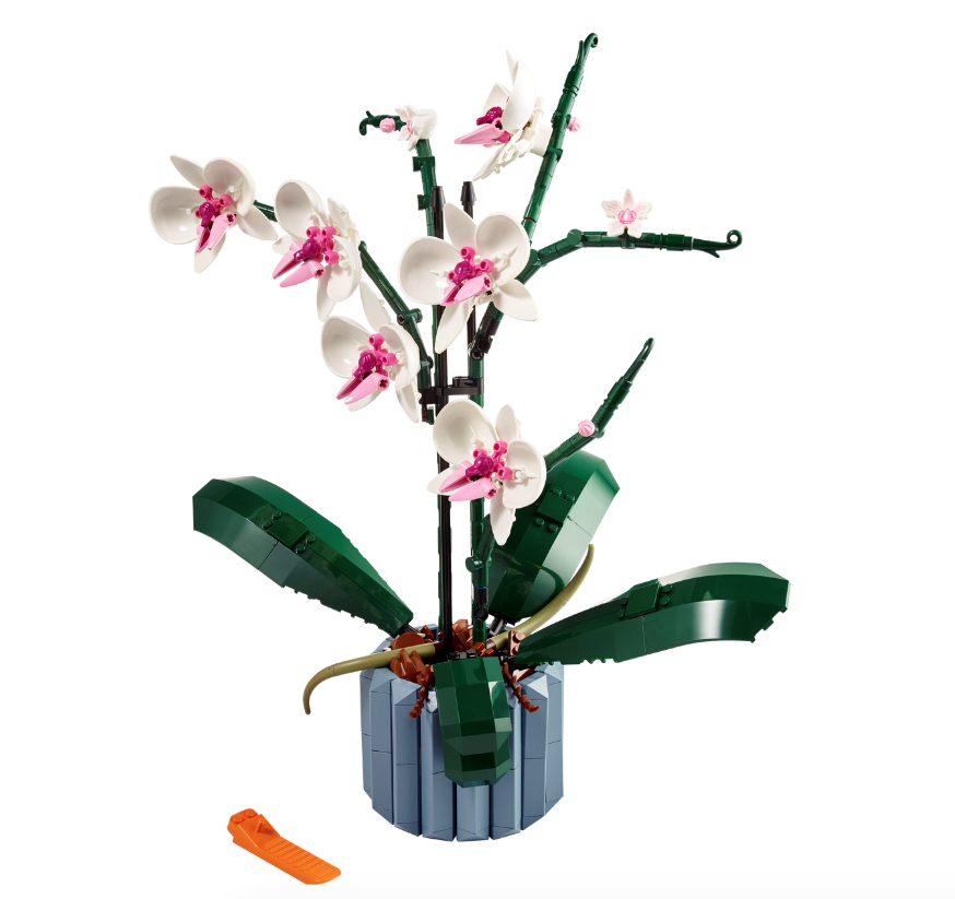 LEGO 10311 Orchid 蘭花 (Creator Expert)