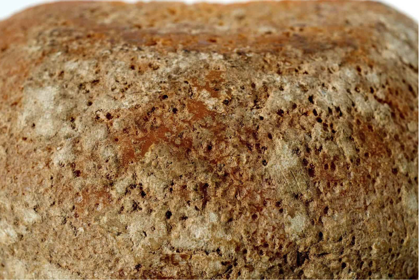 法國AOP老米莫雷特乳酪18個月 100g