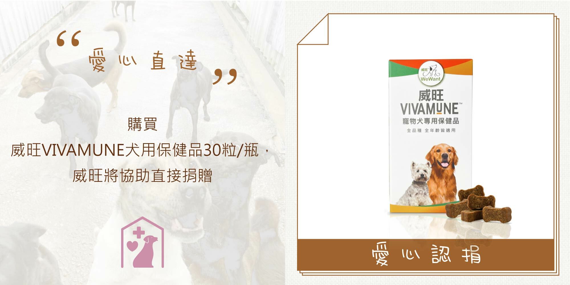 wewant-apa-vivamune-30pics