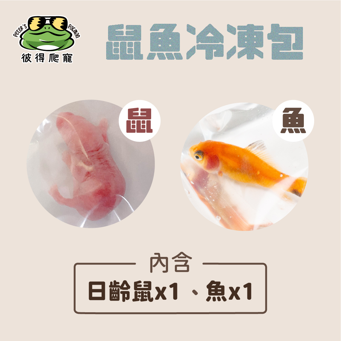 冷凍組合包 爬蟲餌料 日齡鼠 魚 可選 彼得角蛙 彼得爬寵peter S Pacman