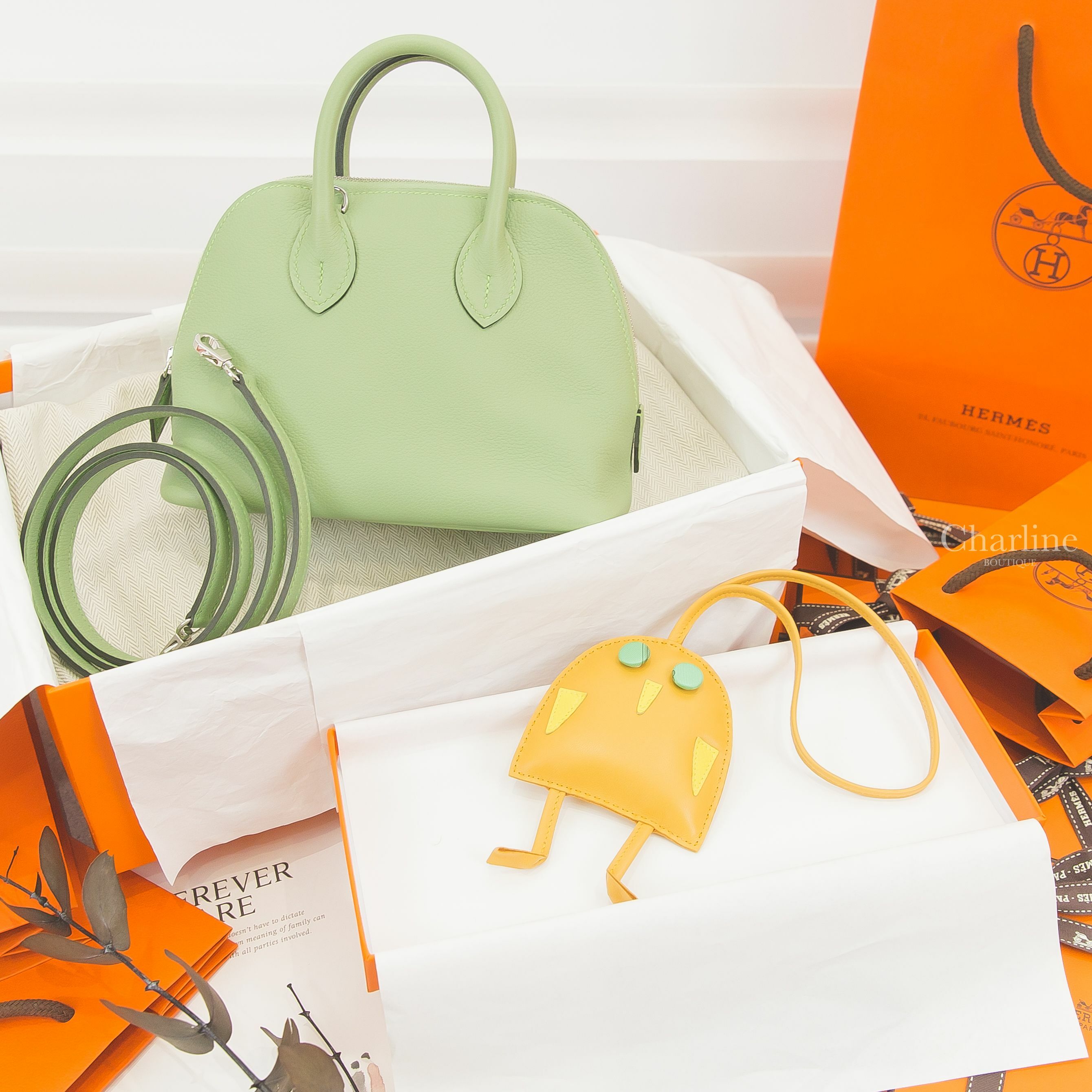 Hermès Bag Charm 黃色綠鈕釦眼睛貓頭鷹吊飾,Hermès Bolide 1923 Mini 3I Vert Criquet Evercolor Z刻牛油果綠銀釦迷你手提肩背包-Charline Boutique 精品代購