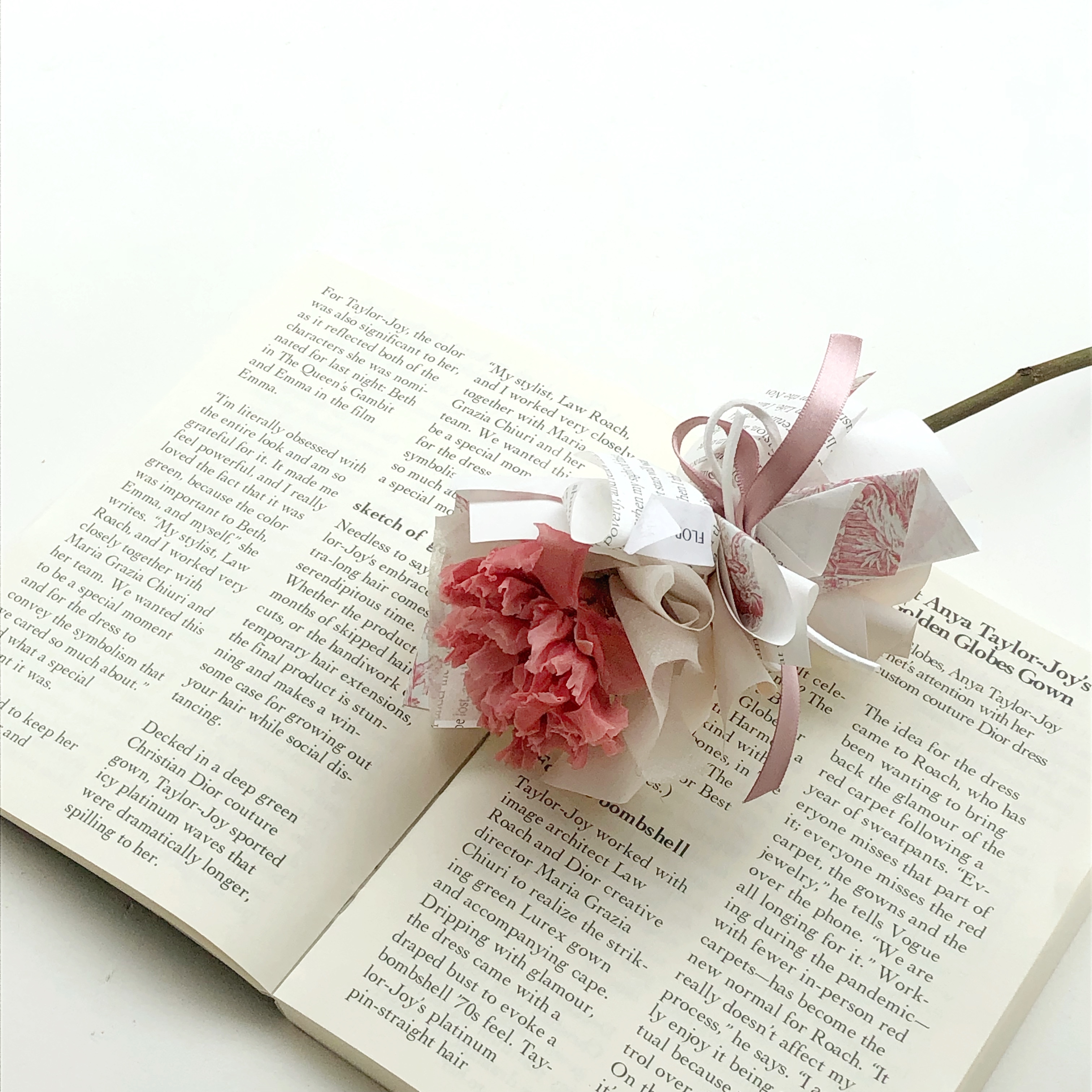 單隻永生康乃馨