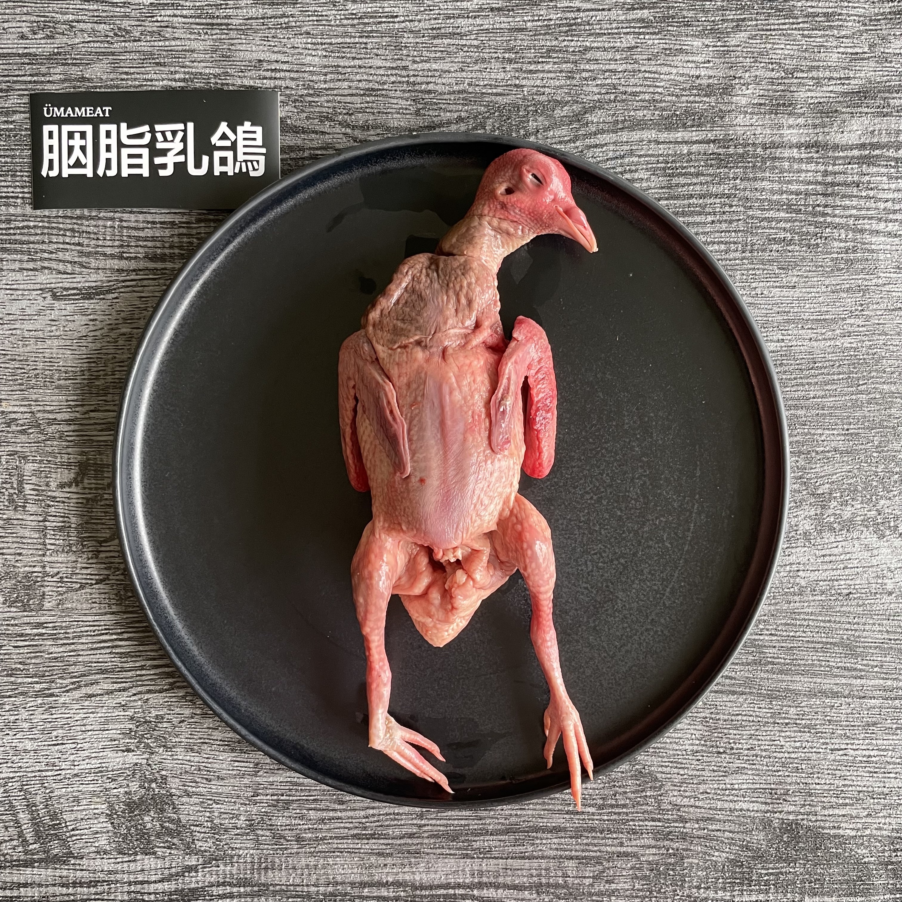 Ümameat 胭脂乳鴿