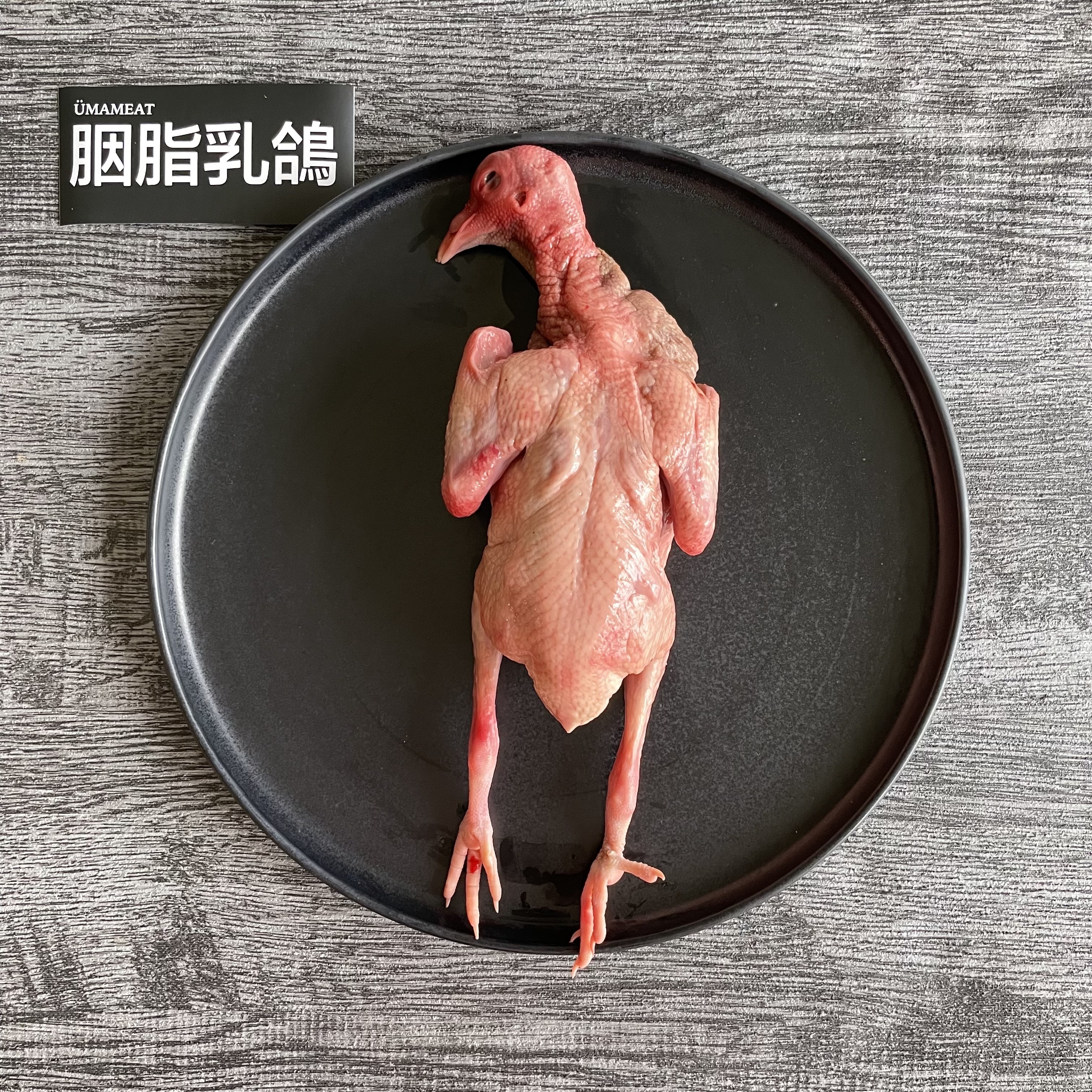 Ümameat 胭脂乳鴿