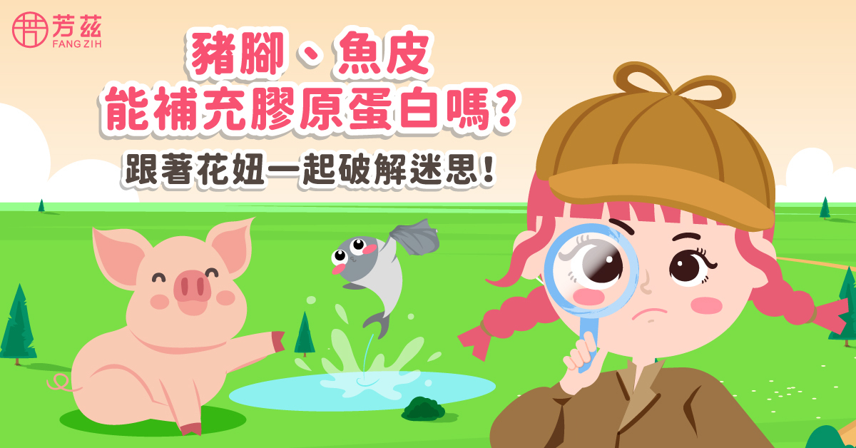 豬腳、魚皮能補充膠原蛋白嗎？