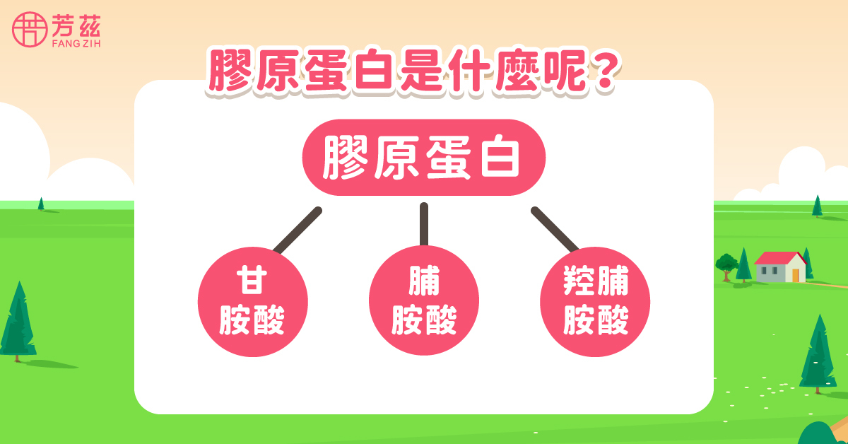 膠原蛋白是什麼呢？