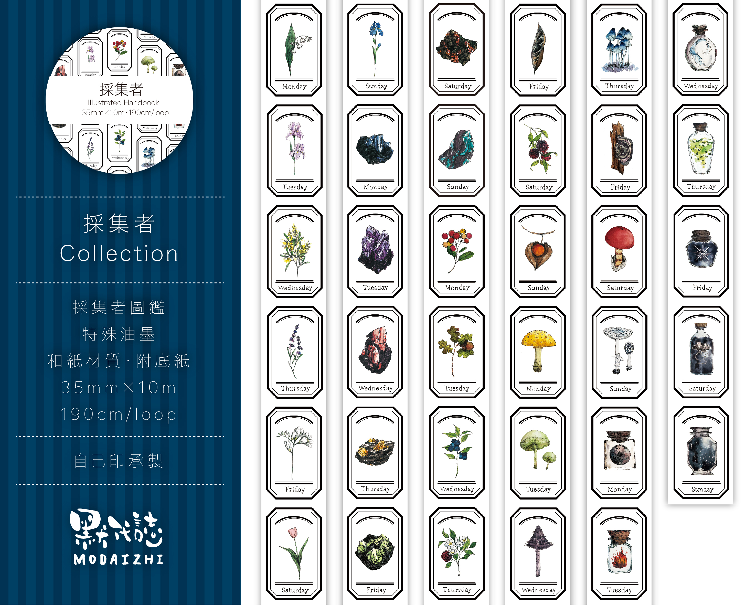 採集者 紙膠帶