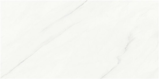 EJC48005