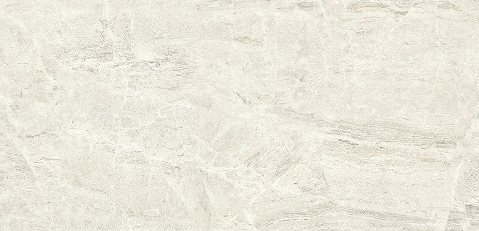 EJC36008