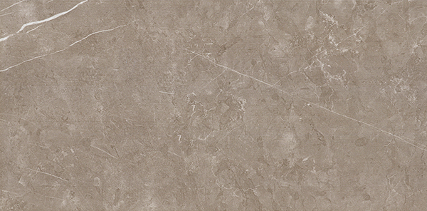 EJC36013