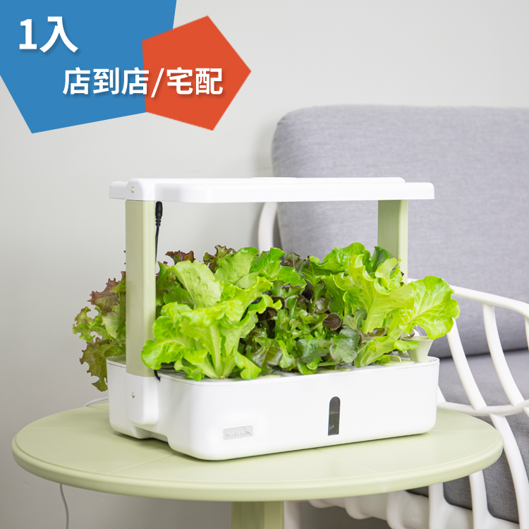 Lalagoon喇喇棍水耕機(一入)