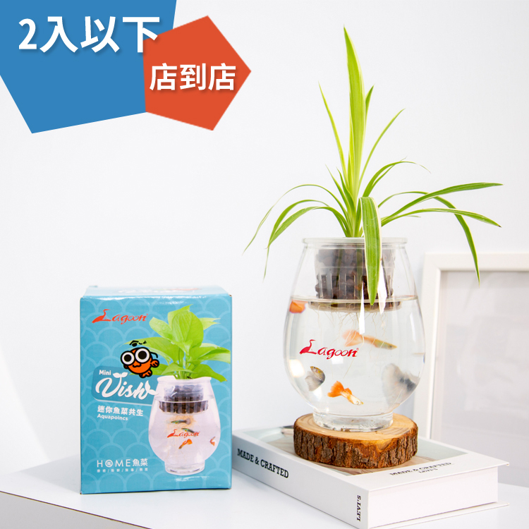 Mini Vish 迷你魚菜共生(2入以下超取)