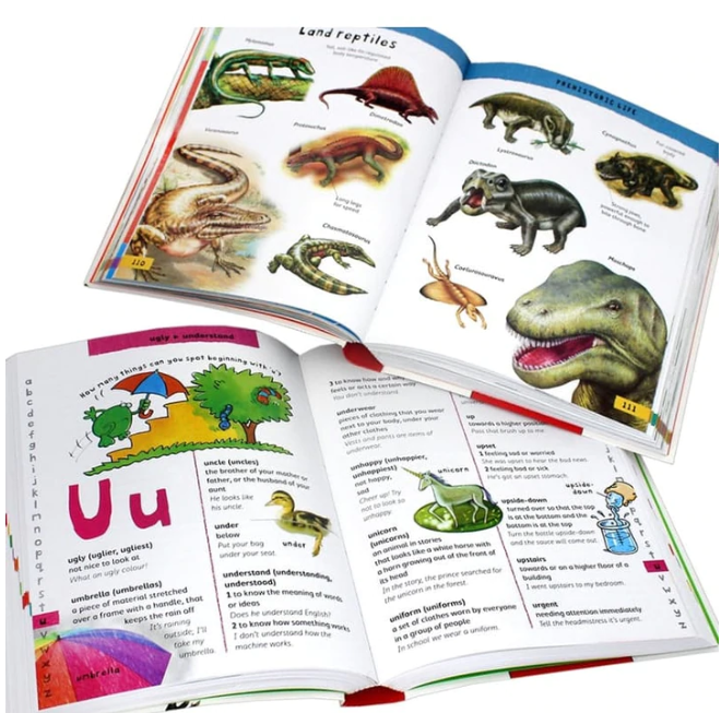 Junior Dictionary and Thesaurus