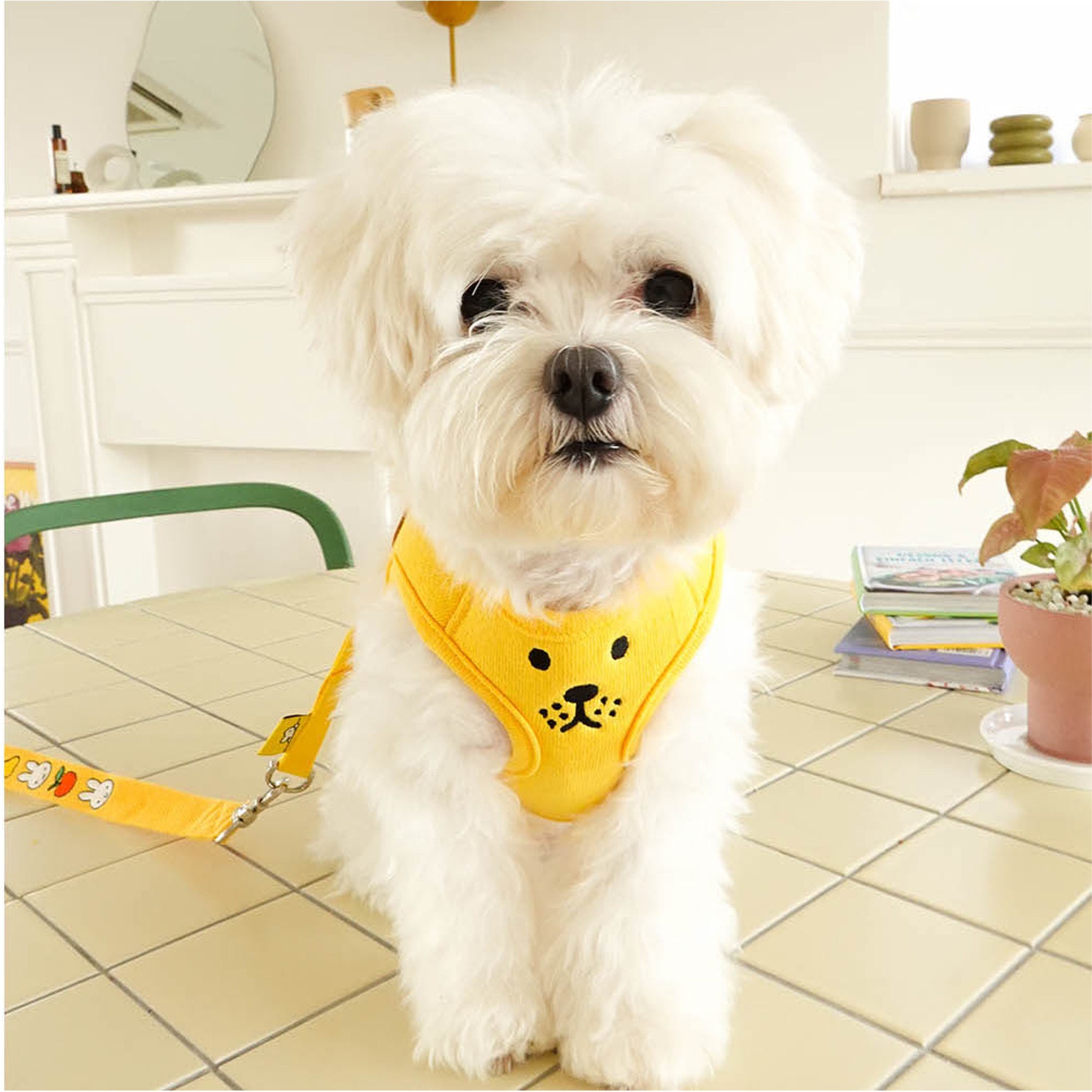 Noutti Miffy & Friends 造型胸背