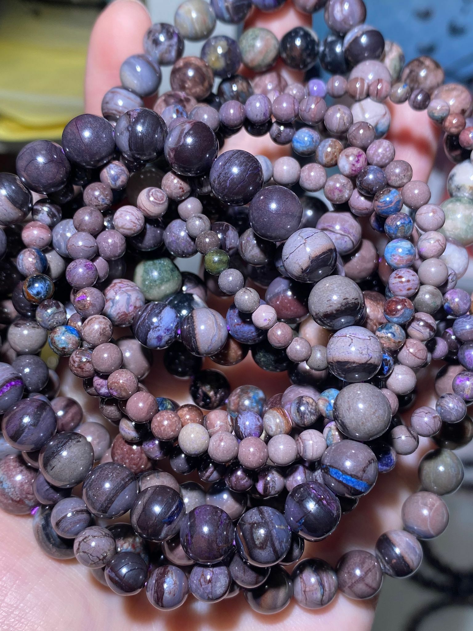 特惠南非紅皮舒俱萊