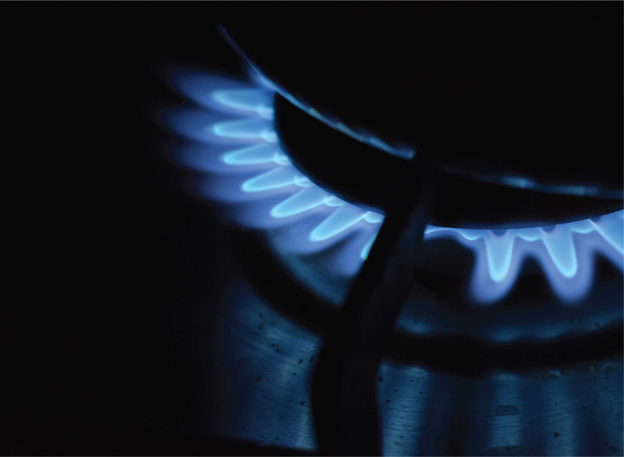 接單後烘焙 新鮮高品質