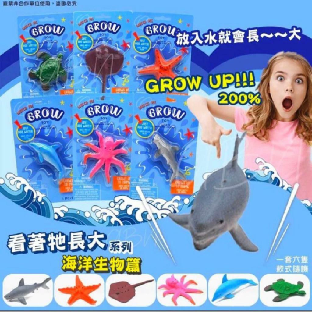 看著牠長大系列玩具海洋生物篇