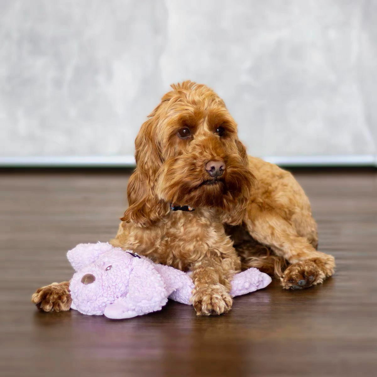 英國ROSEWOOD Aromadog系列-紫色小狗(薰衣草味)