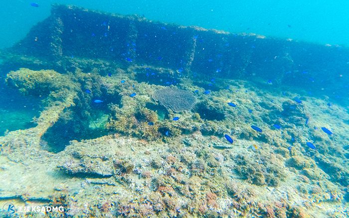 【SUP】浮潛賞魚訪沉船