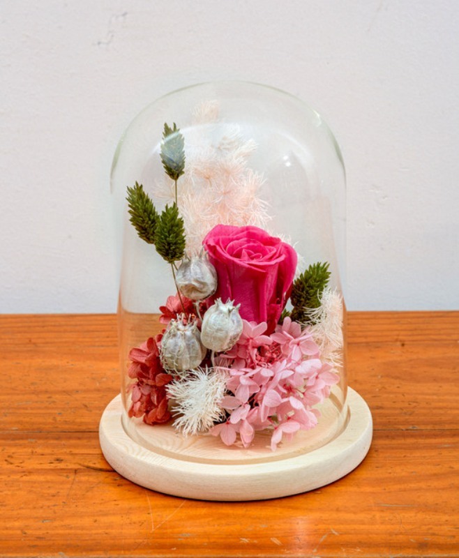 HPF02*****(高级永生花))MEMBER  DISCOUNTS