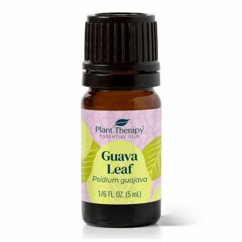 【稀有精油】Plant Therapy 蕃石榴葉 Guava Leaf 精油 5 ml