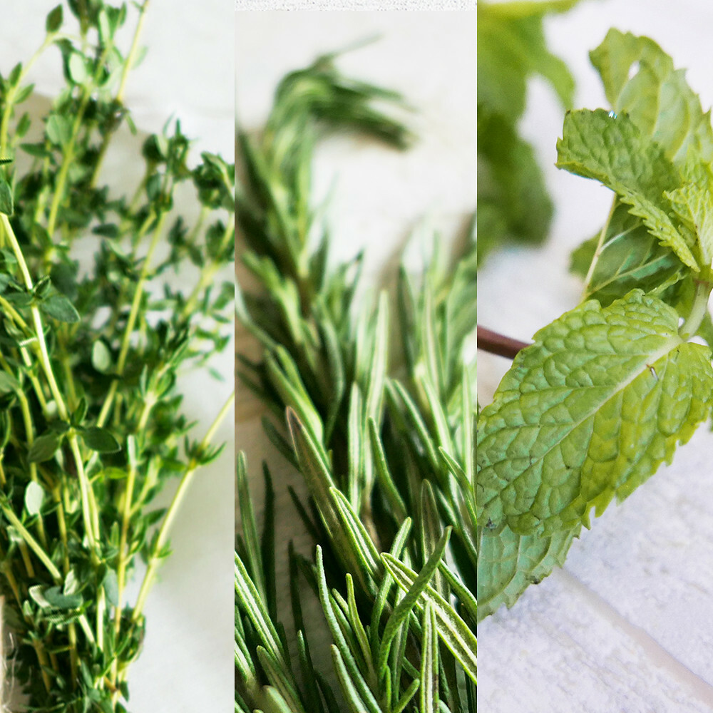 迷你料理香草包_百迷薄