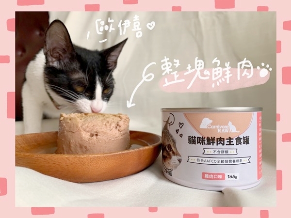 賓士貓吃卡尼鮮肉主食罐