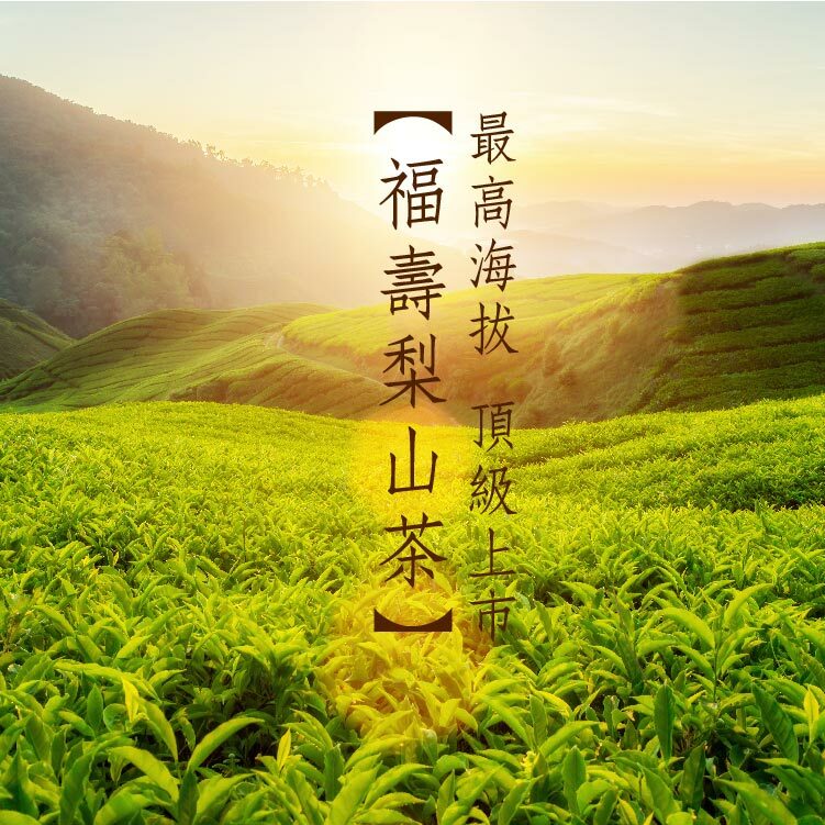 最頂級品質【福壽梨山茶】限量銷售，半斤二兩裝 4包裝 2罐 禮盒裝
