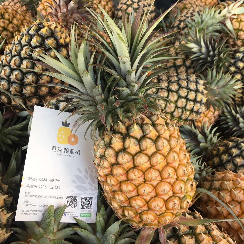 鳳梨，貝克翰農場，鳳梨酥，古坑，鳳梨冰