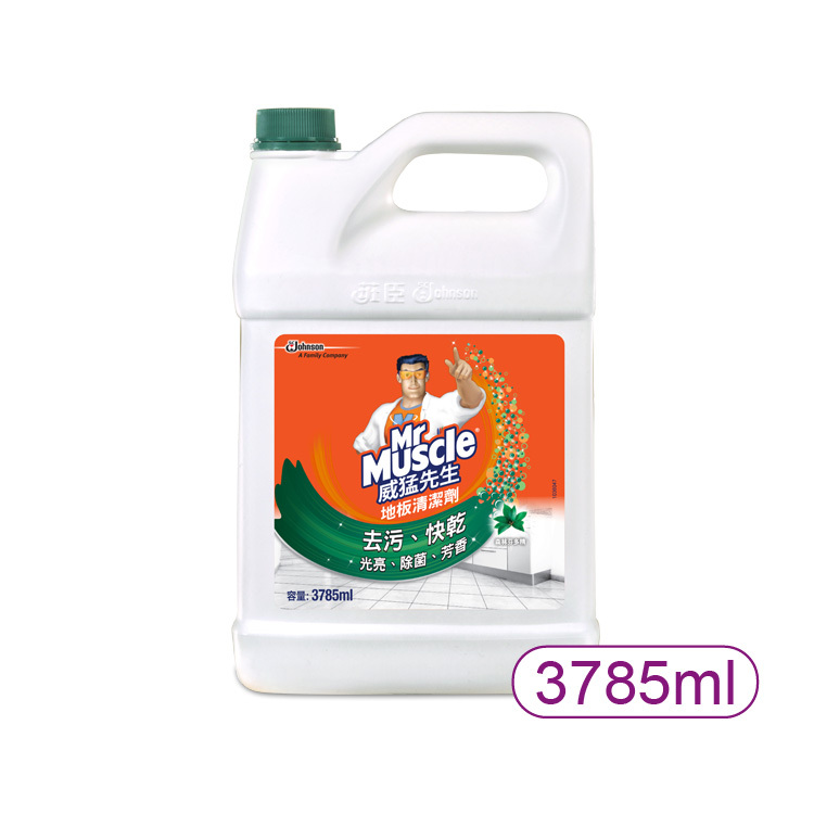 【莊臣】威猛先生愛地潔-芬多精1加侖