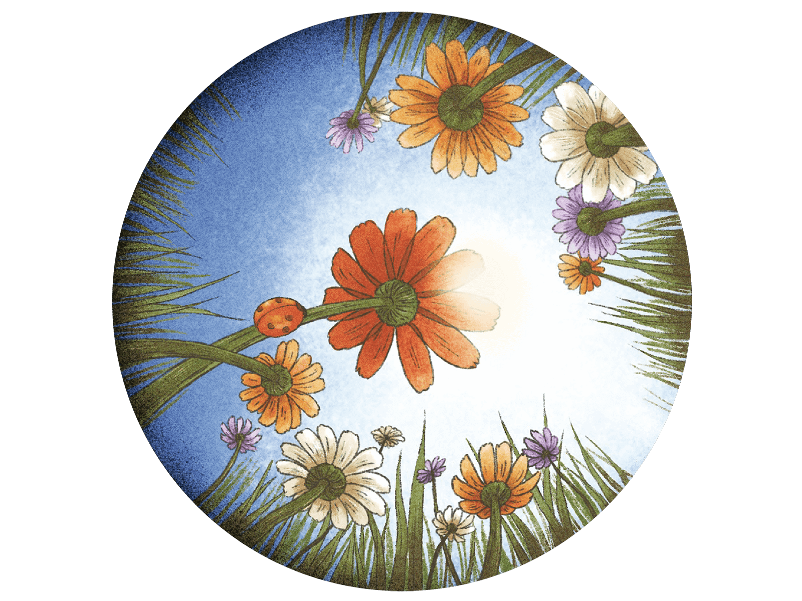 飽含文化的故事策展，像是綻放的花蕊，有力地回應著這片土地的豐饒，在迷人的嘉義，遍地開花