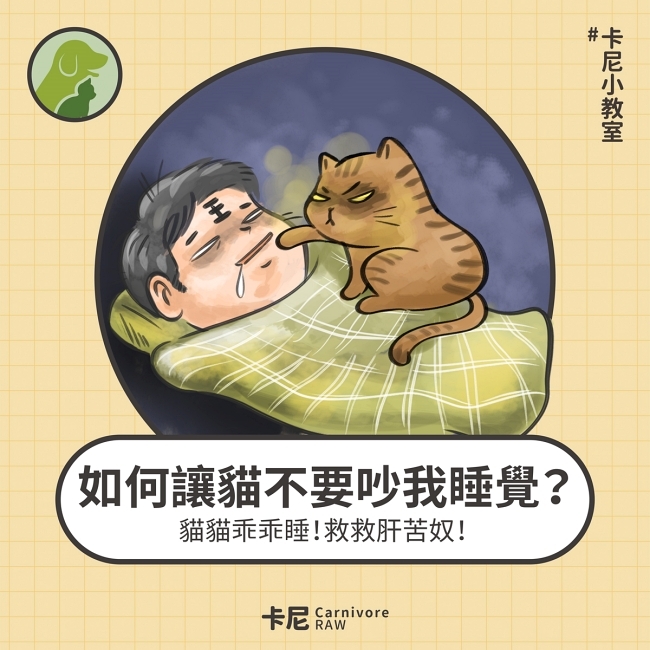貓咪吵人睡覺