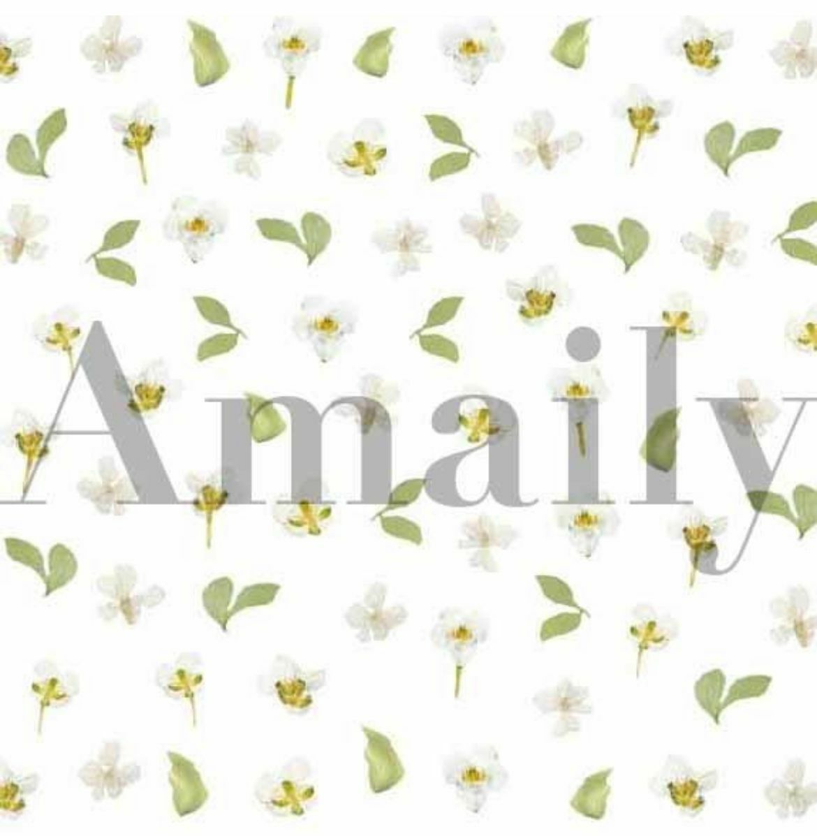 Amaily - no.1-23